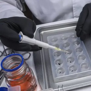 forensic scientists examining evidence from a crime scene.