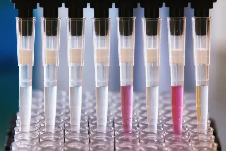 Biobanking samples prepared by an ANAB accredited organization.