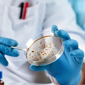 Measurement Traceability